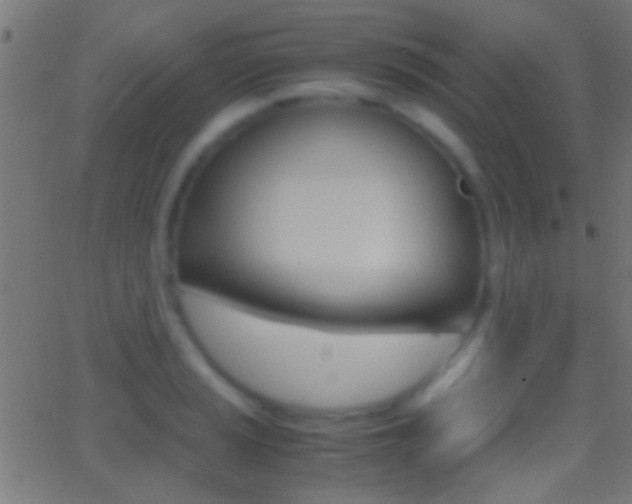 X0000062871037200601131005