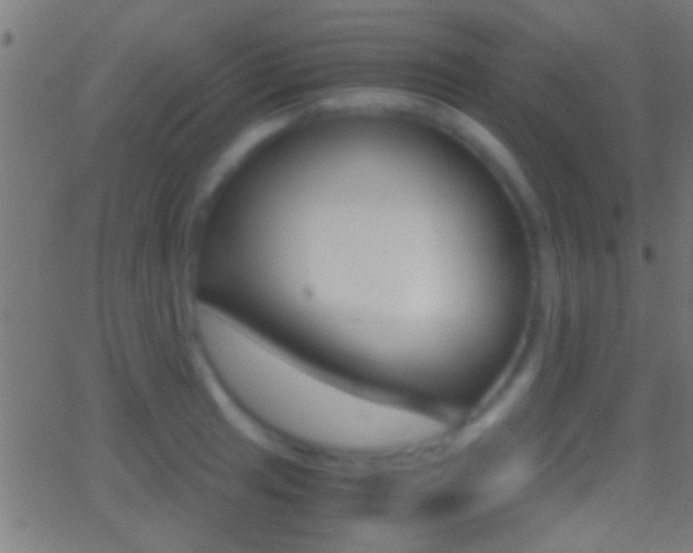 X0000062871041200601131005