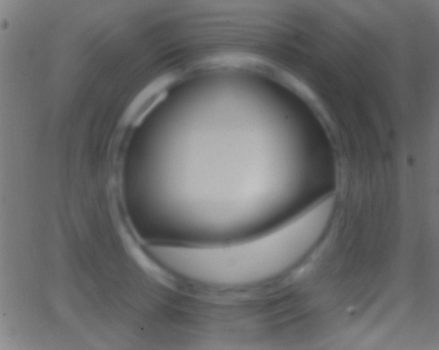 X0000062871042200601131005