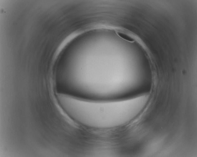 X0000062871048200601131006