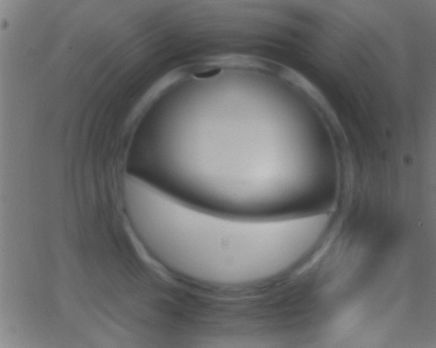 X0000062871049200601131006