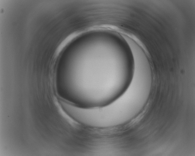X0000062871054200601131006