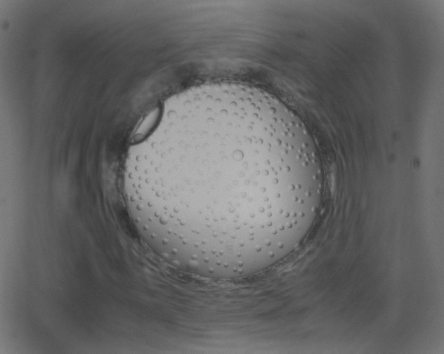 X0000062871059200601131005