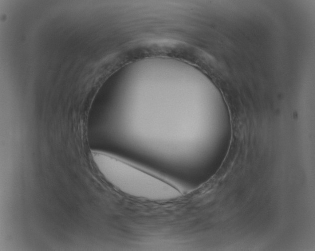 X0000062871061200601131005