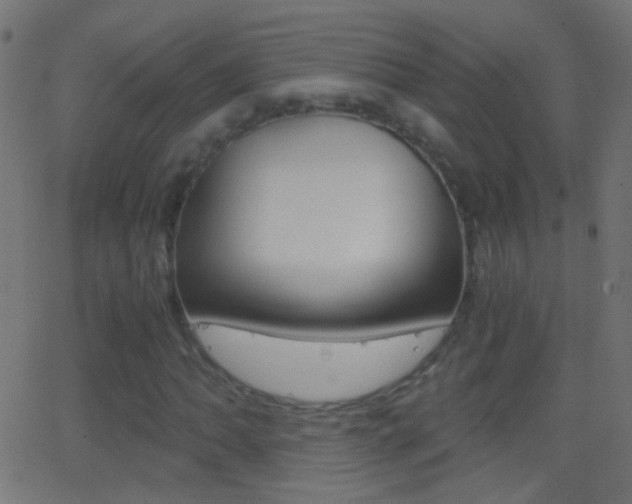X0000062871062200601131005
