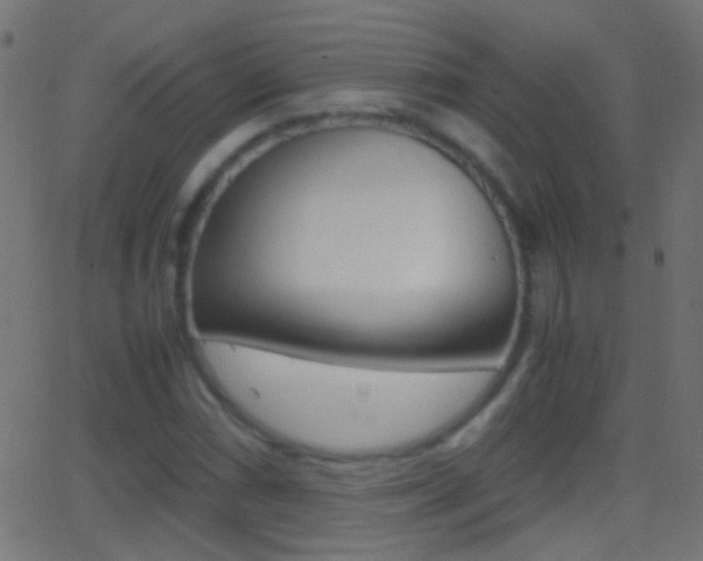 X0000062871066200601131005