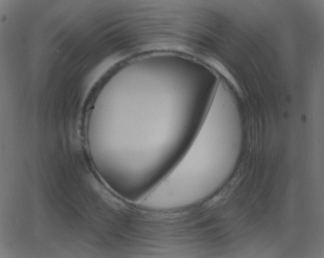 X0000062871068200601131005