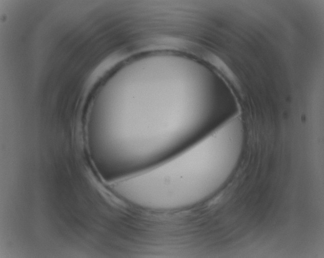 X0000062871072200601131005