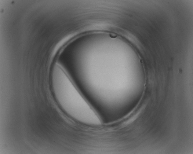 X0000062871077200601131005