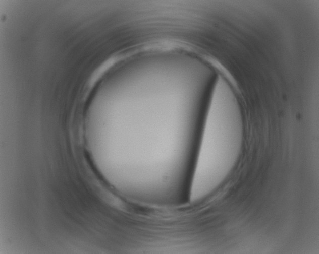 X0000062871083200601131004