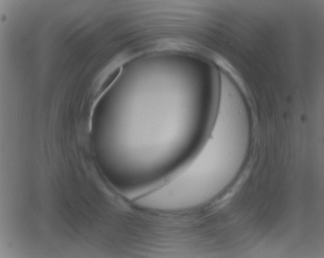 X0000062871089200601131004