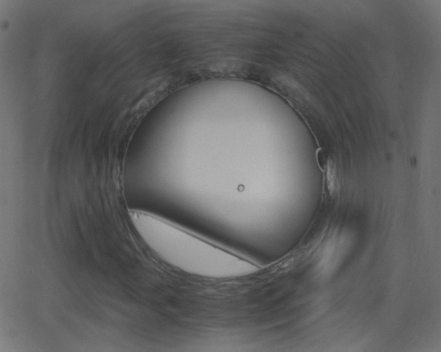 X0000062871107200601131003