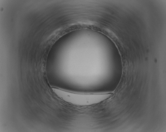X0000062871110200601131003