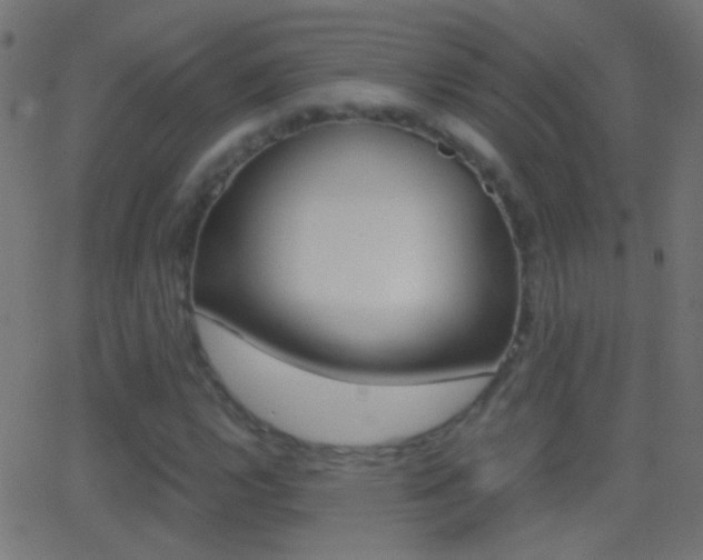 X0000062871112200601131003