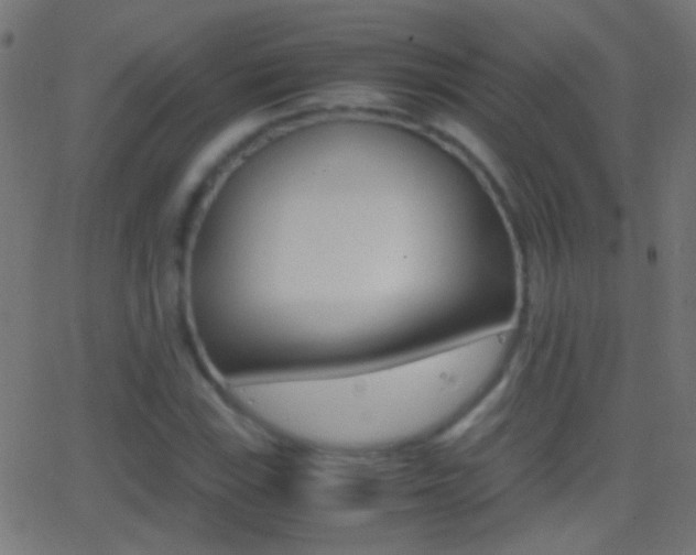 X0000062871115200601131003