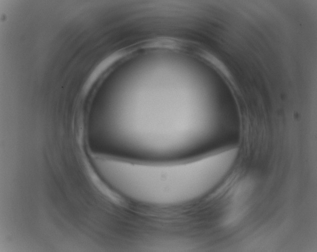 X0000062871131200601131004