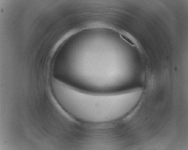 X0000062871142200601131004
