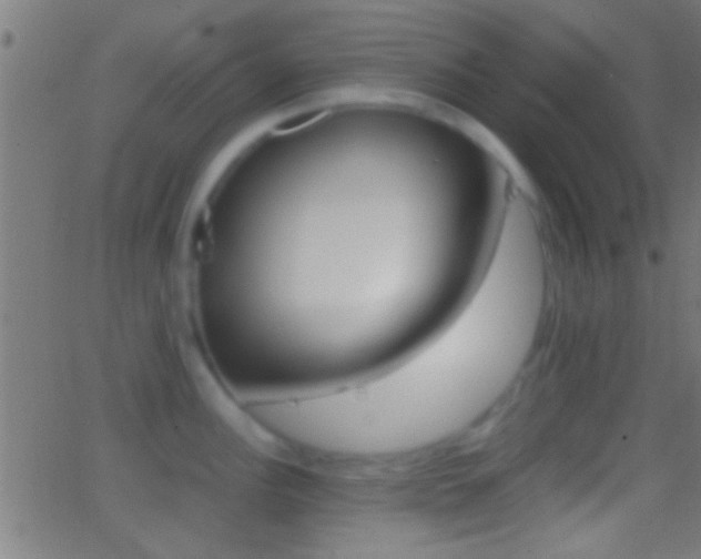 X0000062871148200601131004