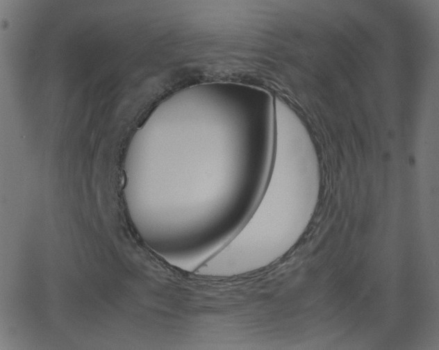 X0000062871153200601131003
