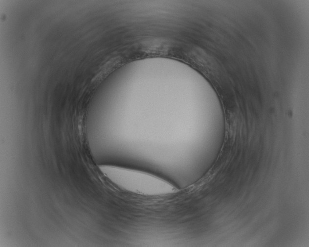 X0000062871154200601131003