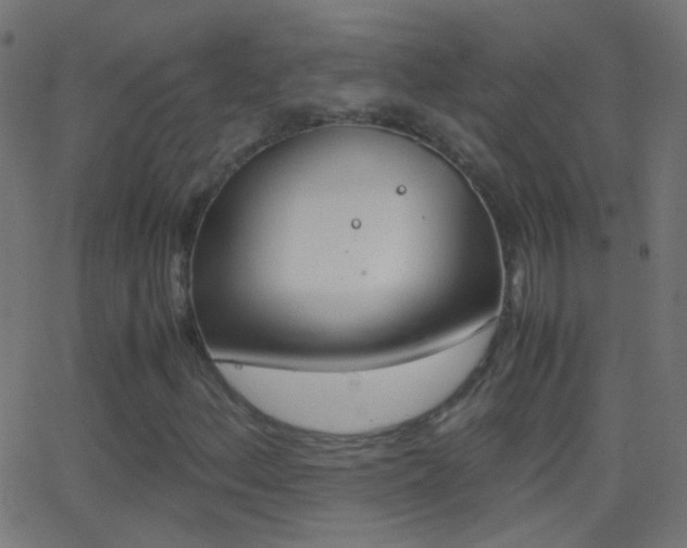 X0000062871156200601131003