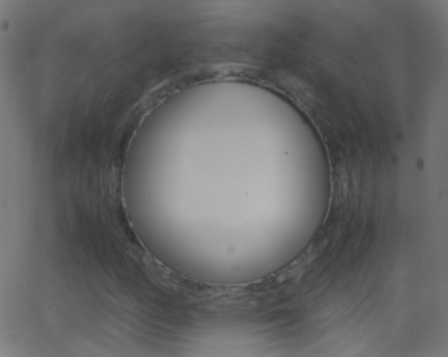 X0000062871158200601131003