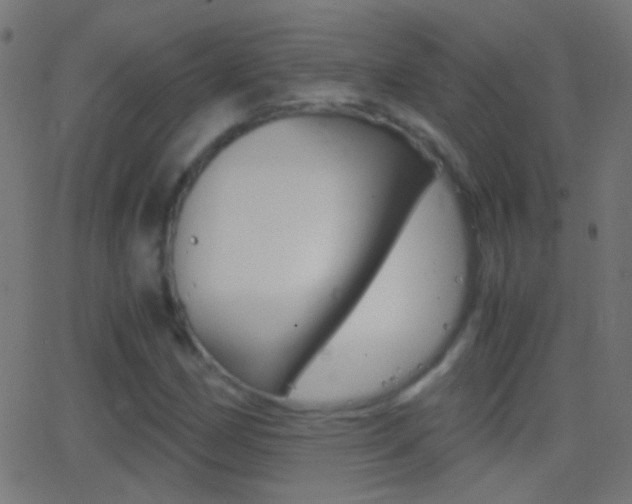 X0000062871162200601131003