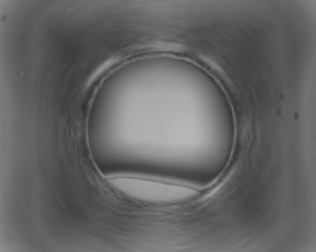 X0000062871163200601131003