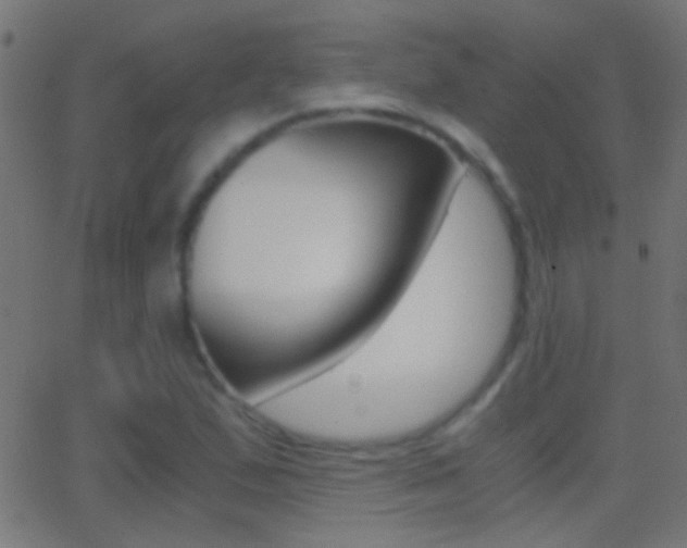 X0000062871167200601131003