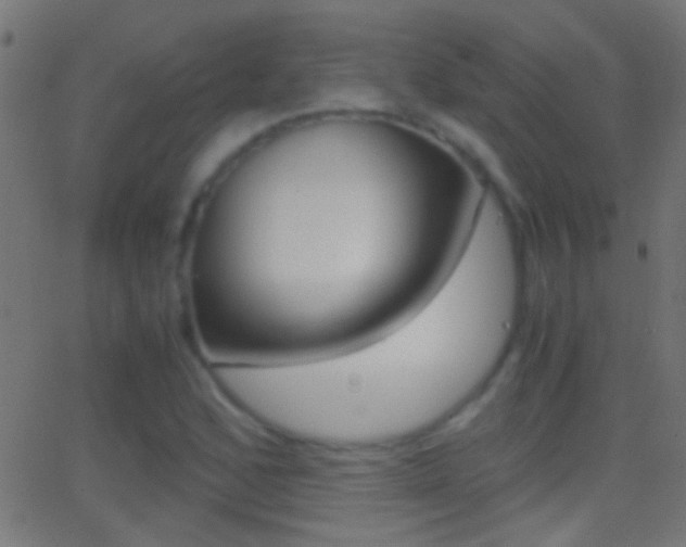 X0000062871168200601131003
