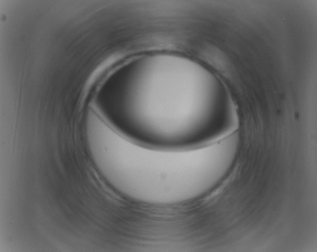 X0000062871172200601131003