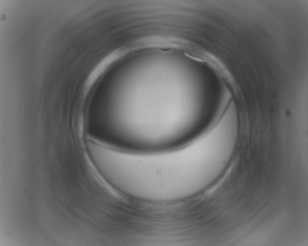 X0000062871188200601131003