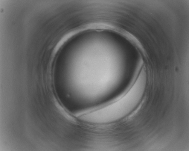 X0000062871192200601131003