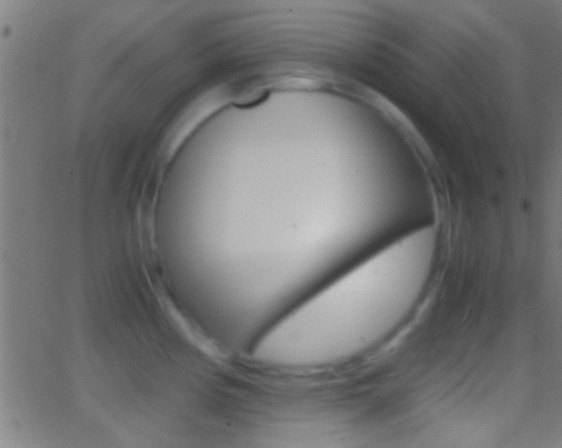 X0000062871194200601131003
