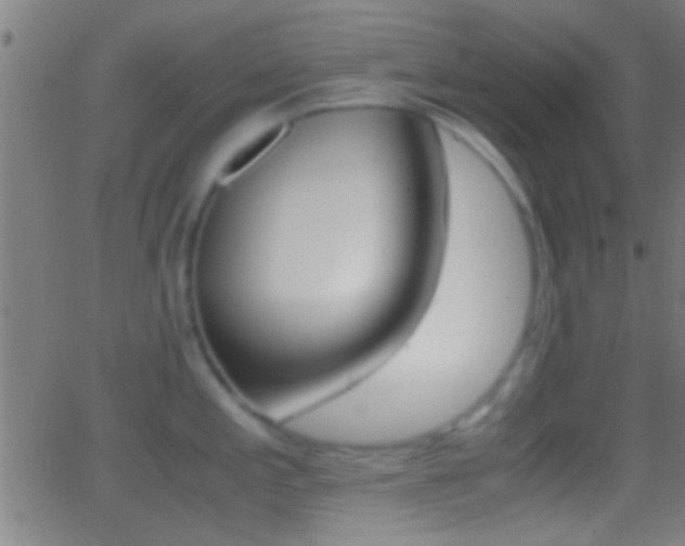 X0000062871197200601131003