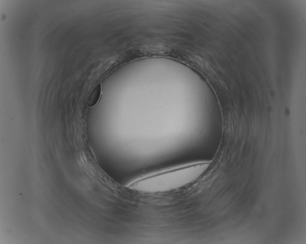X0000062871201200601131002