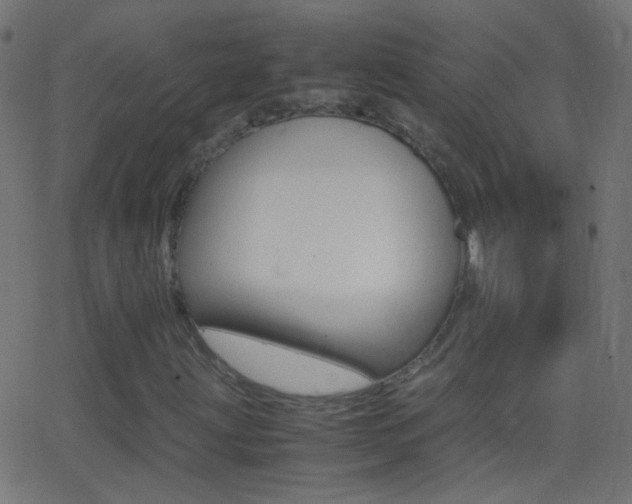 X0000062871203200601131002
