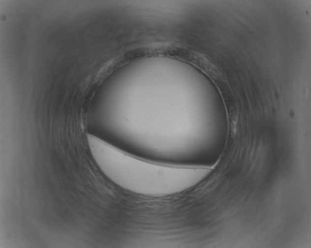 X0000062871204200601131002