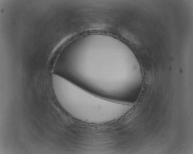 X0000062871208200601131002