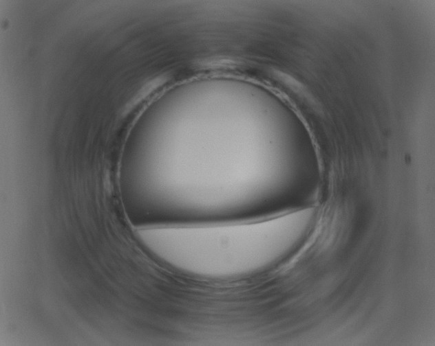 X0000062871209200601131002
