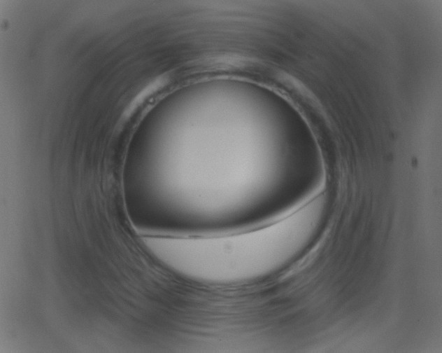 X0000062871210200601131002