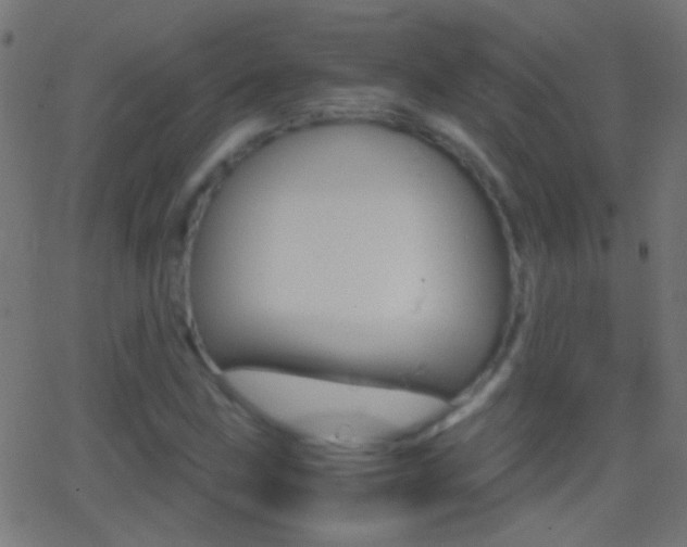 X0000062871211200601131002