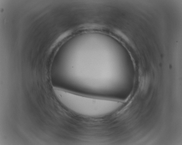 X0000062871213200601131002