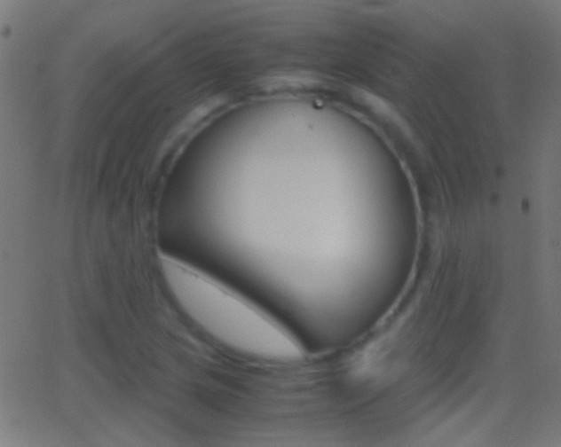 X0000062871217200601131002