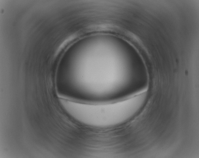 X0000062871218200601131002