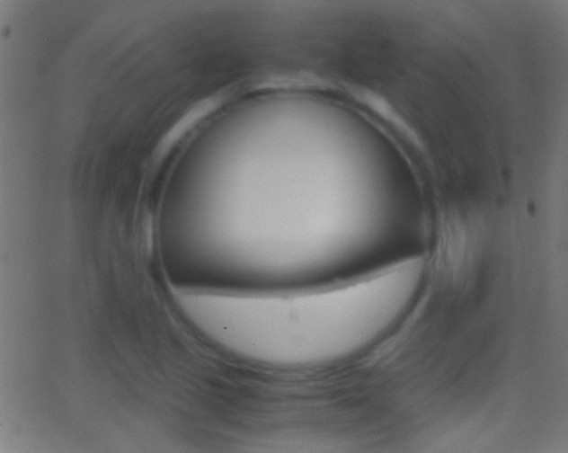 X0000062871221200601131002