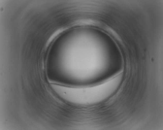 X0000062871226200601131002