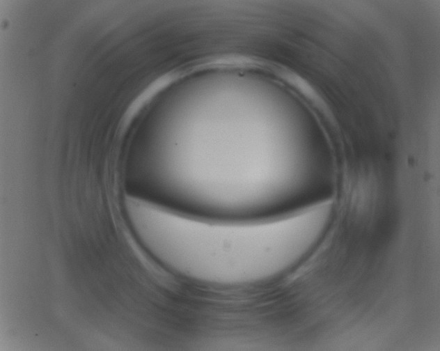 X0000062871229200601131002