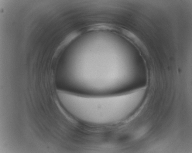 X0000062871233200601131002