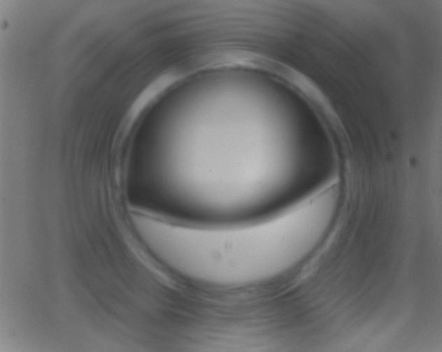 X0000062871234200601131002